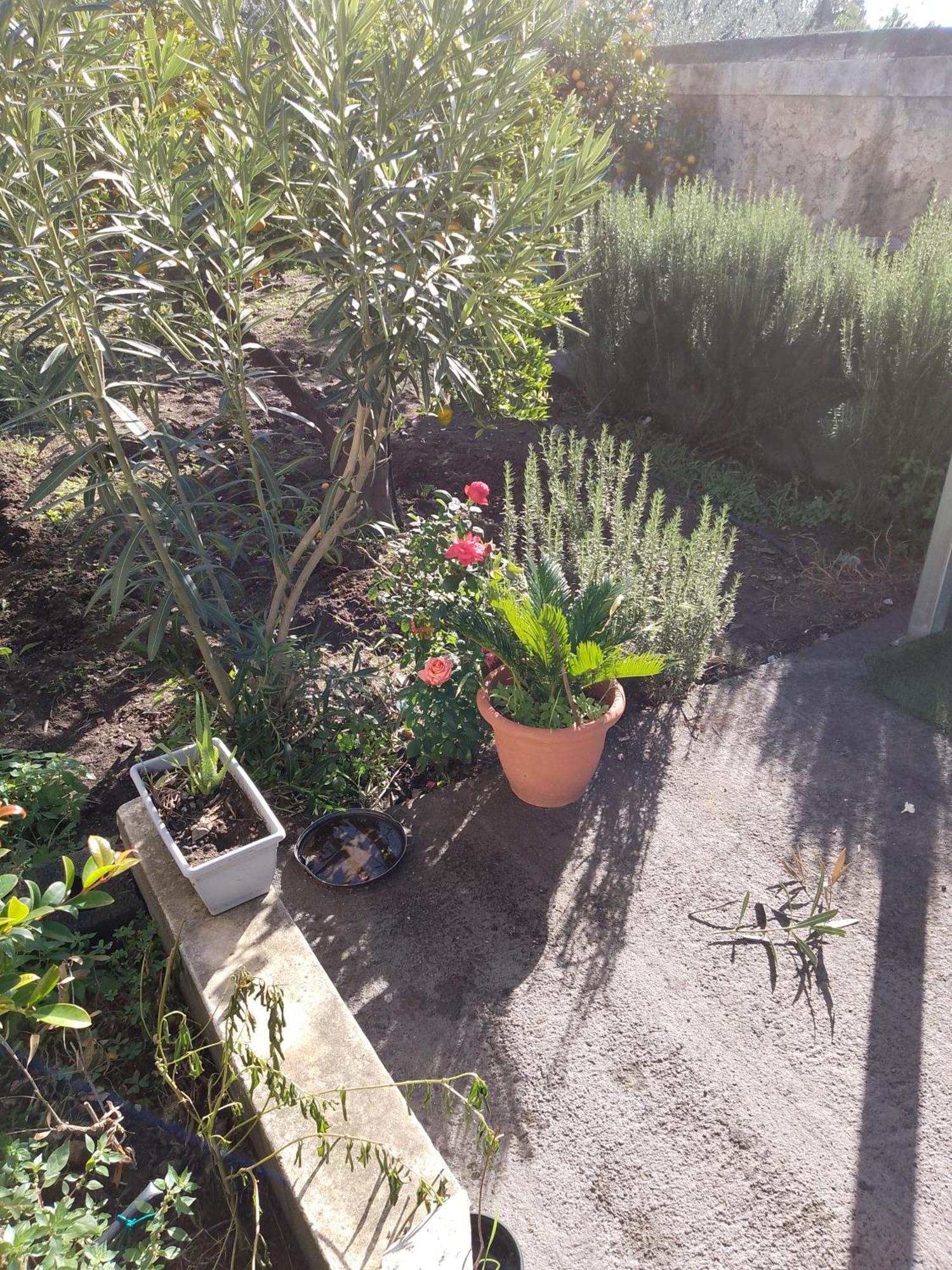 Le Casette Di Nonna Rosa In Fontanarossa Catania Airport Экстерьер фото