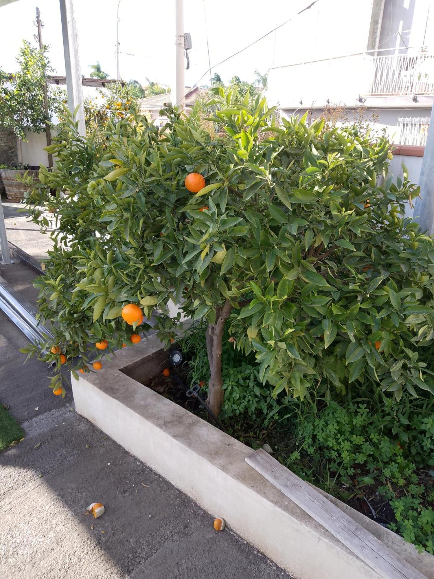 Le Casette Di Nonna Rosa In Fontanarossa Catania Airport Экстерьер фото